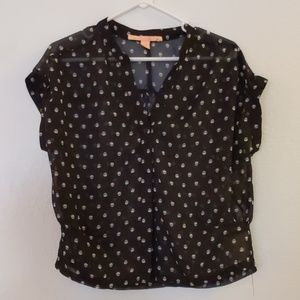 Black Sheer mesh skull print loose chiffon blouse